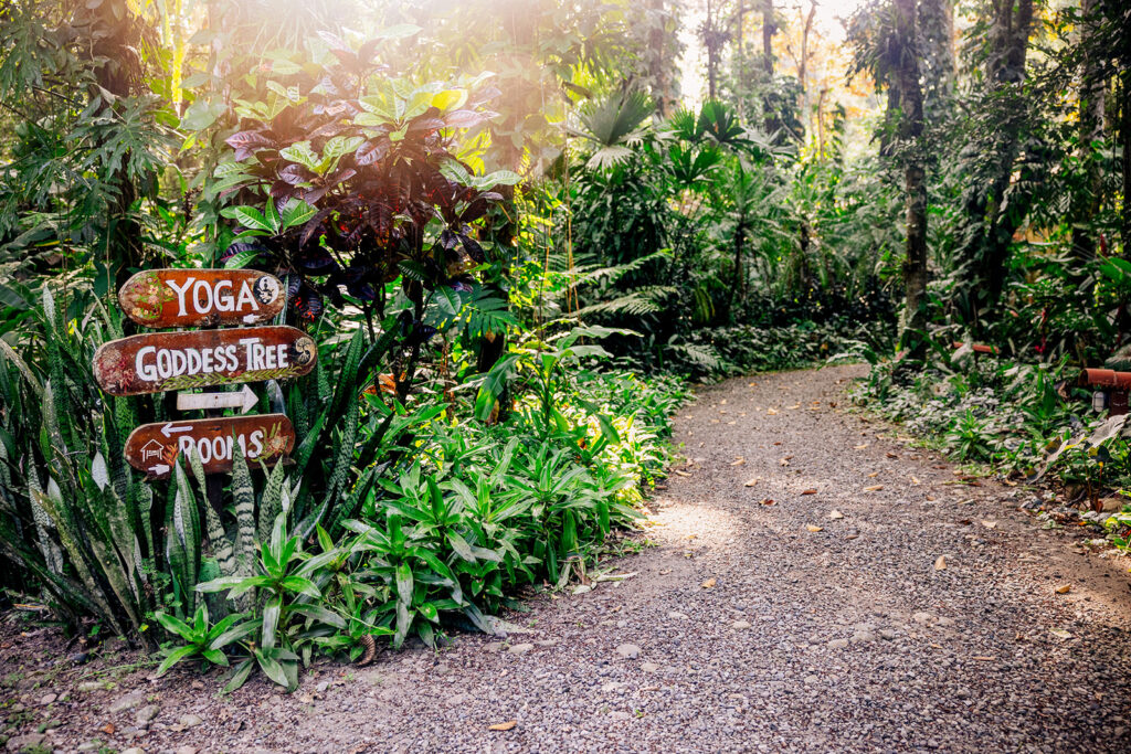 9 please tag or credit @monicajustesen